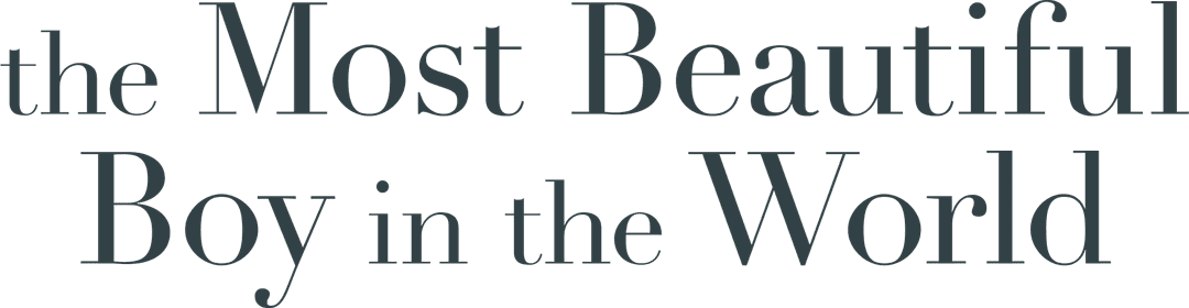 The Most Beautiful Boy in the World movie logo