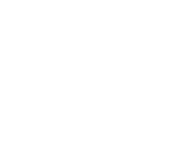 Three Identical Strangers movie logo