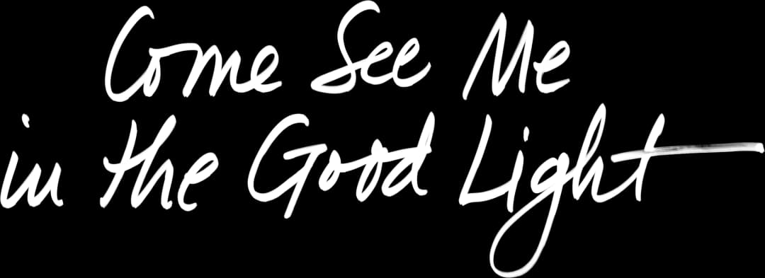 Come See Me in the Good Light movie logo
