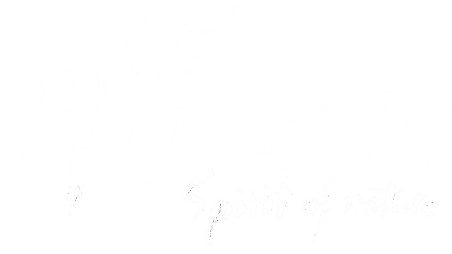 Miyazaki, Spirit of Nature movie logo