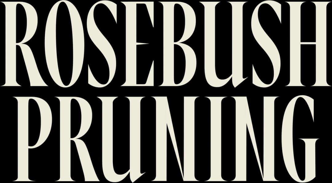 Rosebush Pruning movie logo